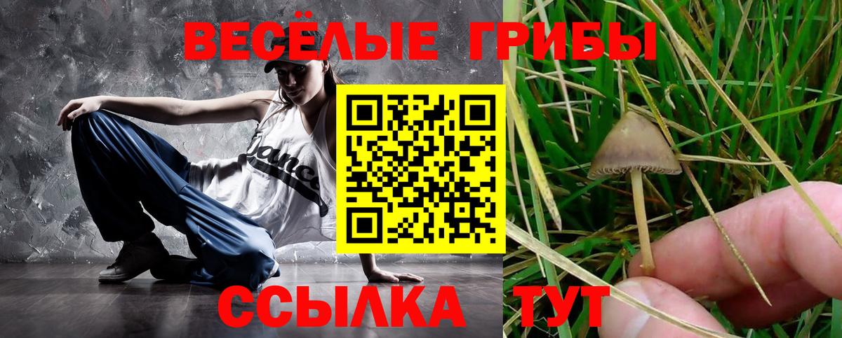 Кузнецк  Галлюциногенные грибы мухоморы  Вход с VPN  Псилоцибиновые грибы мицелий 